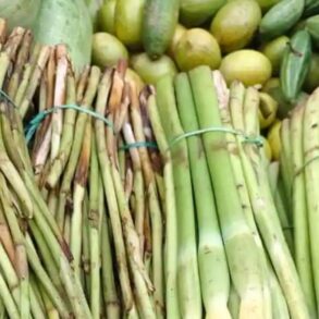 One in Three Vegetables from Swiss Asian Grocers Breach Pesticide Limits, Lab Finds