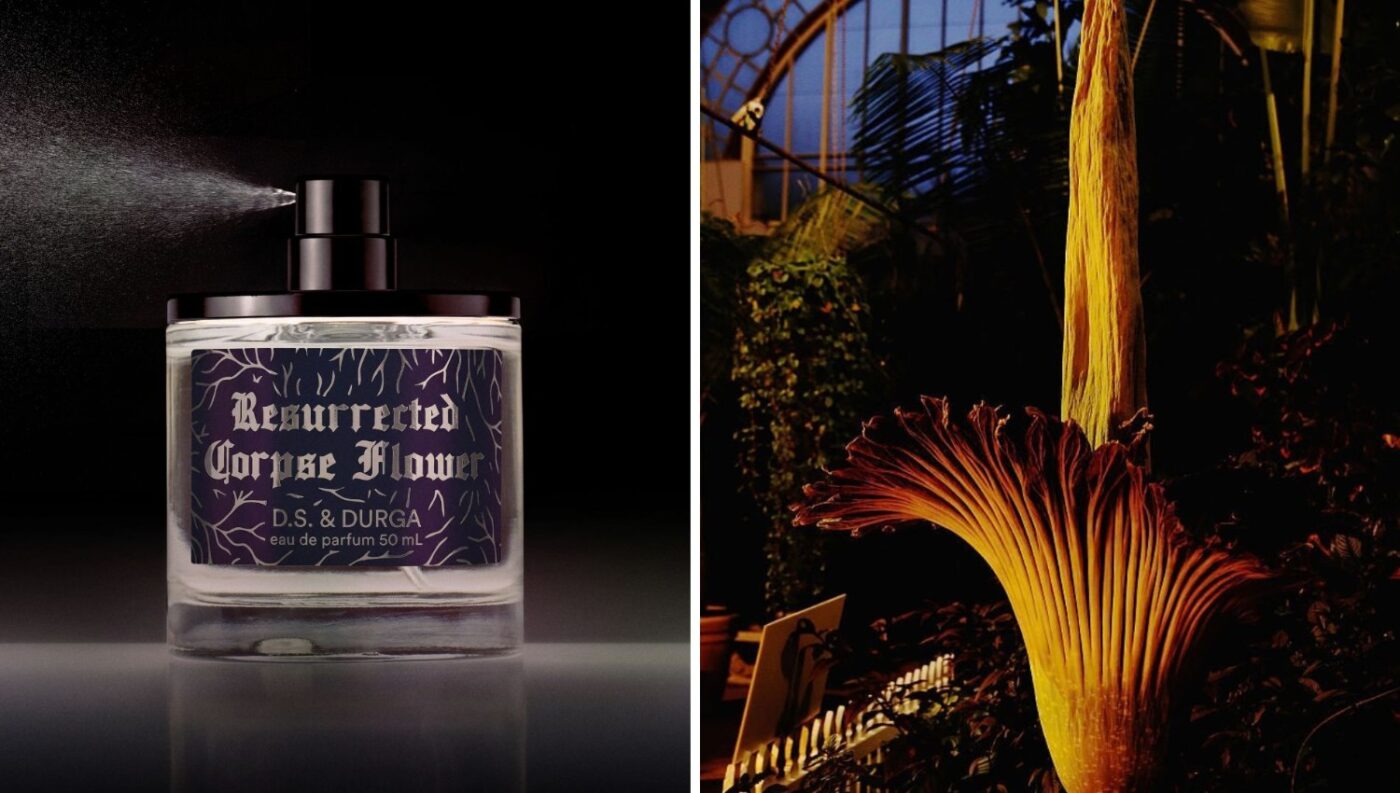 DS & Durga Turns a Corpse Flower's Stench Into a Lily and Tuberose Perfume