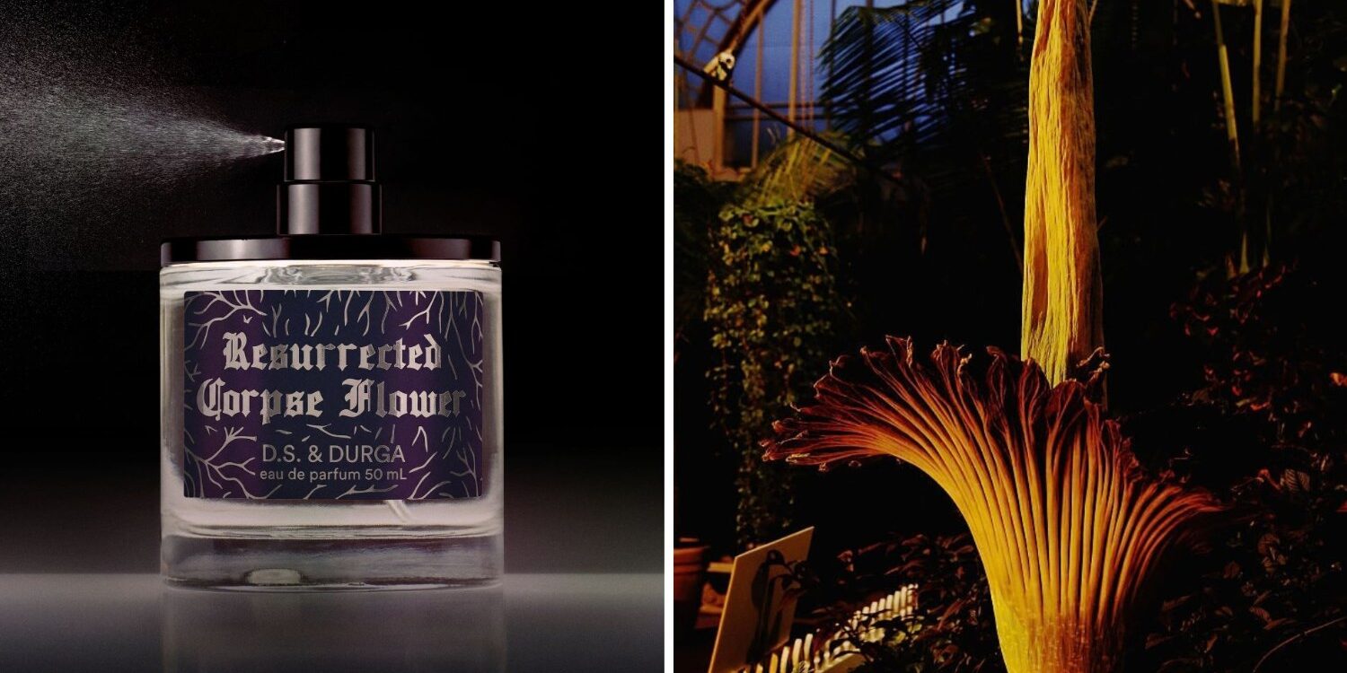 DS & Durga Turns a Corpse Flower's Stench Into a Lily and Tuberose Perfume