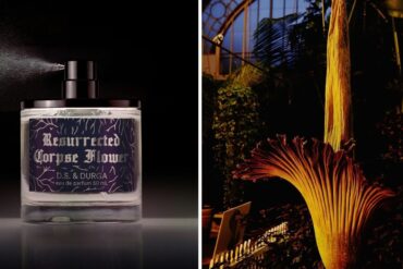 DS & Durga Turns a Corpse Flower's Stench Into a Lily and Tuberose Perfume